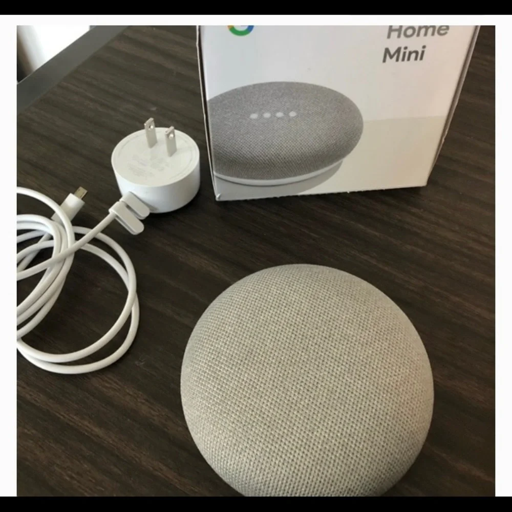 Google Mini